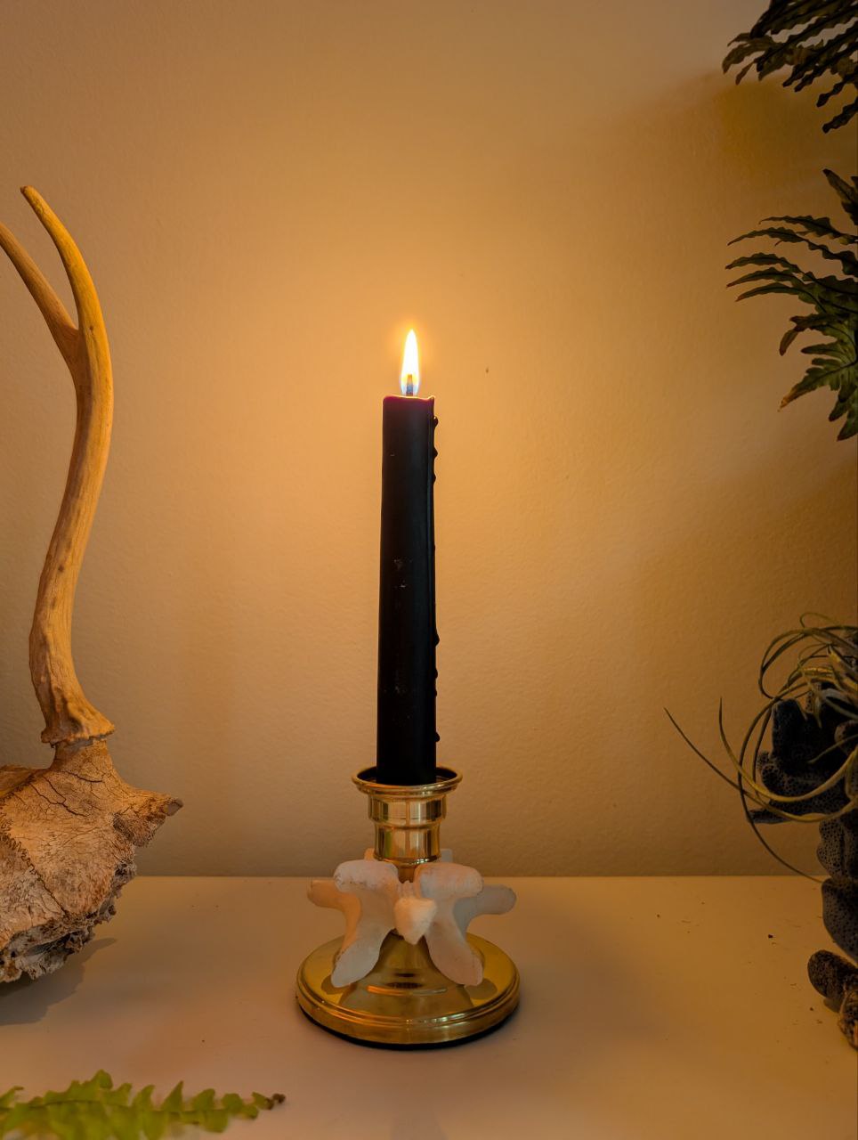 Bone Candle Stick I