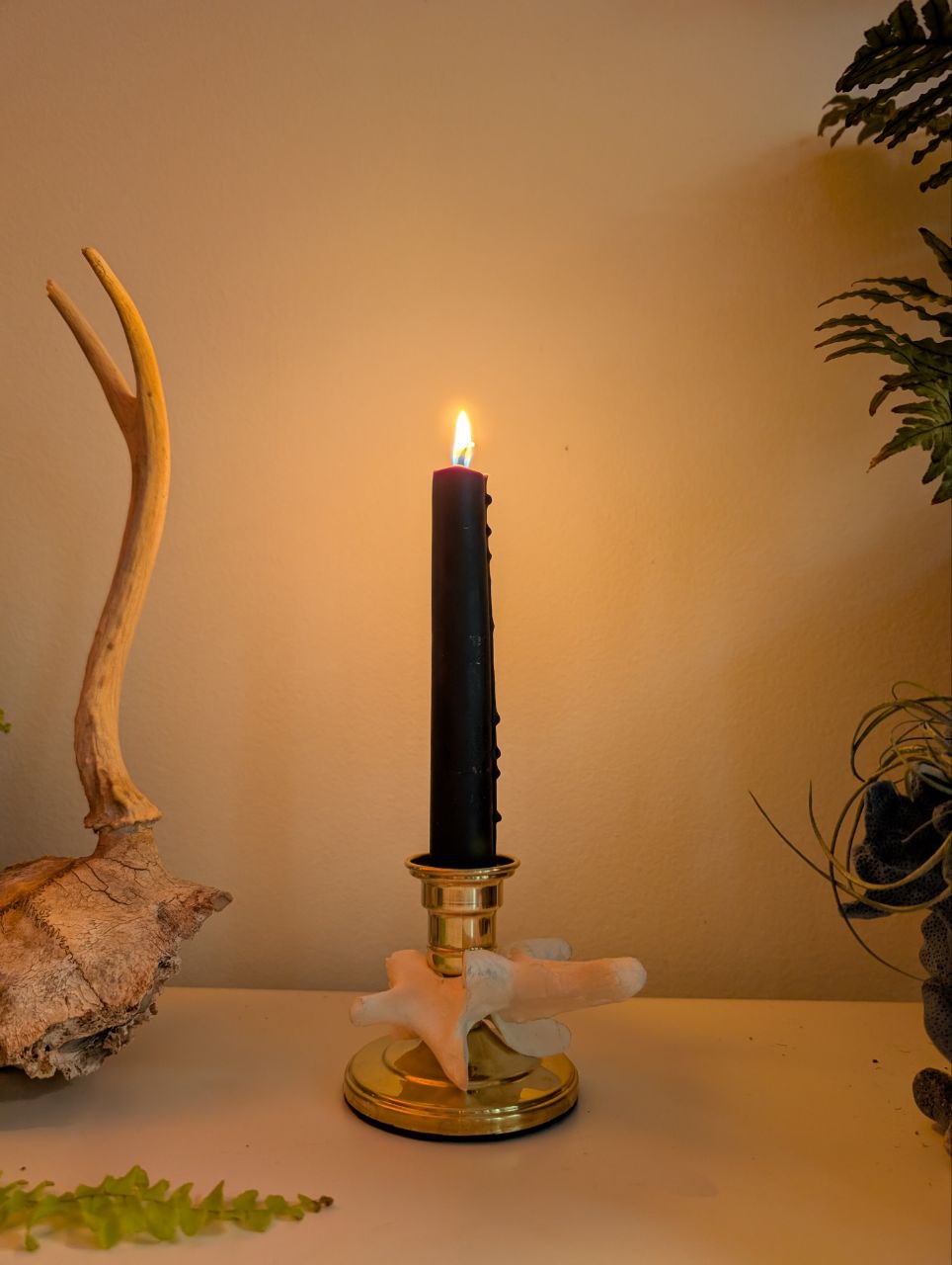 Bone Candle Stick I
