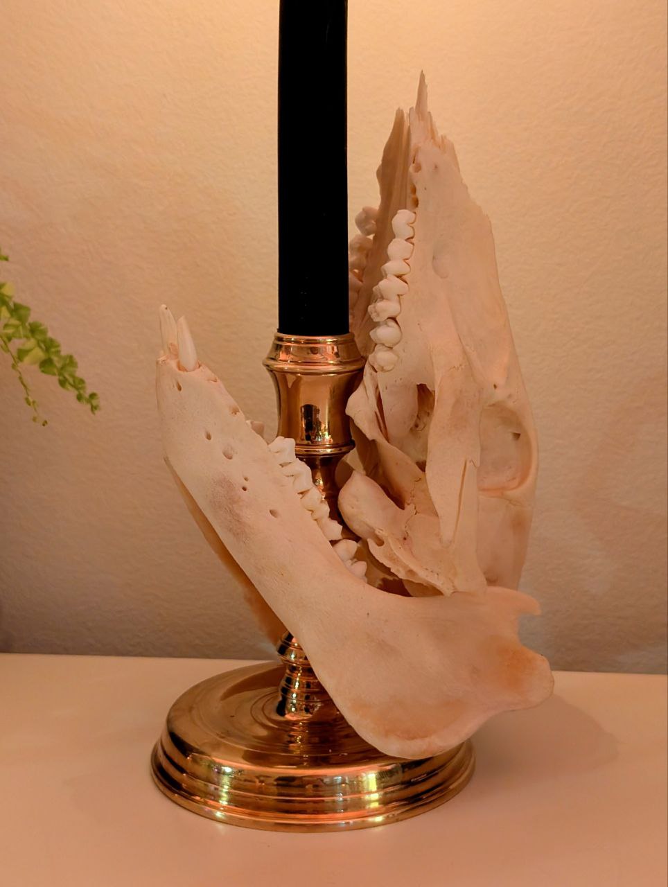Bone Candlestick II