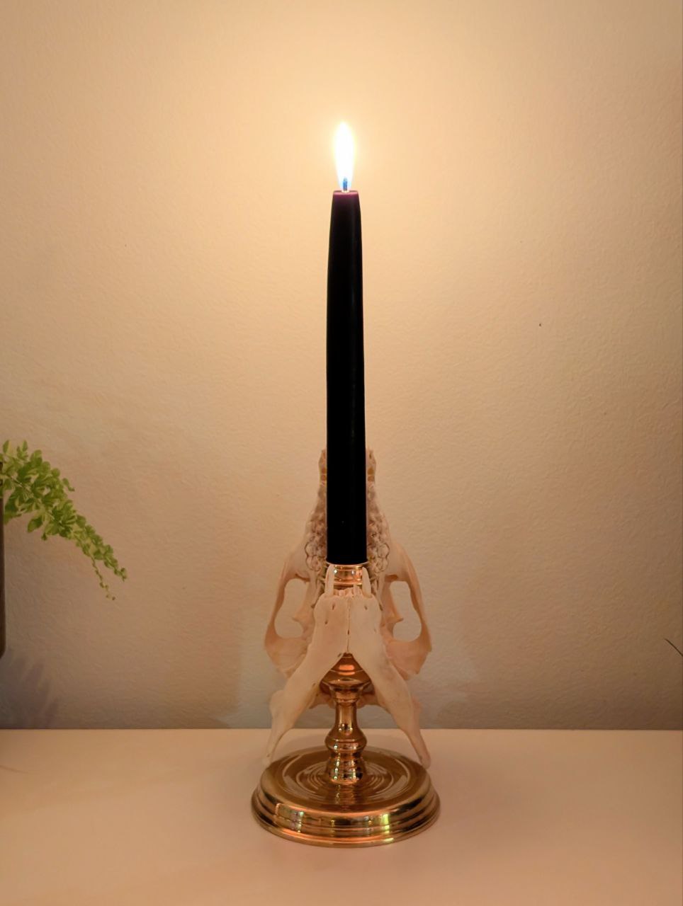 Bone Candlestick II