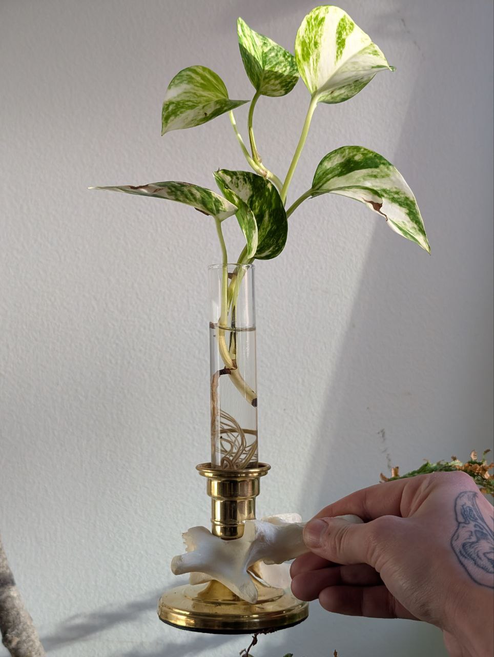Bone Candle Stick I