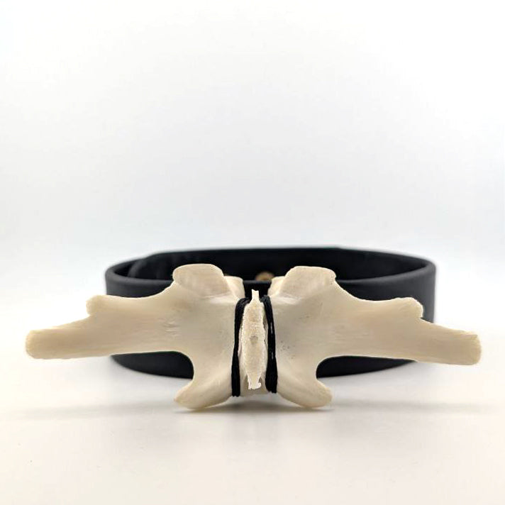 Alligator Vertebrae Cuff