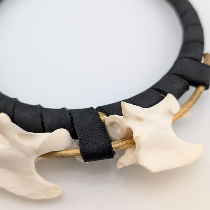 Calling Coyotes Collar