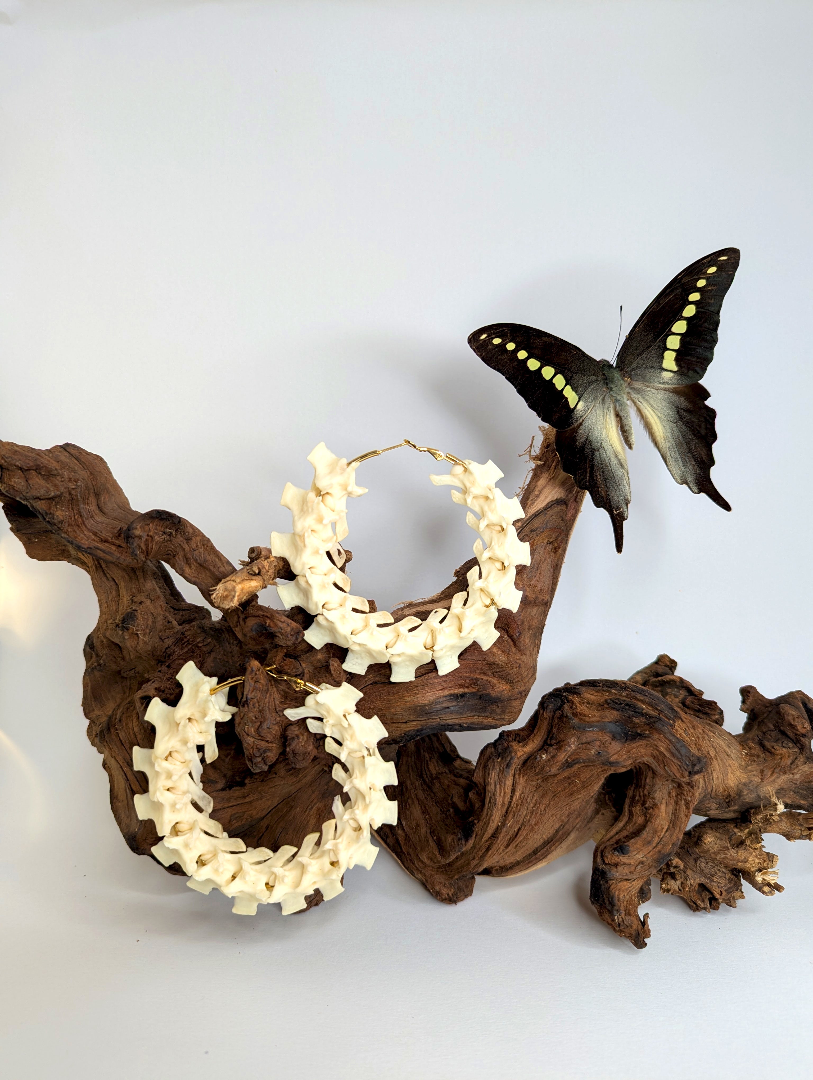 Bushmaster Vertebrae Earrings