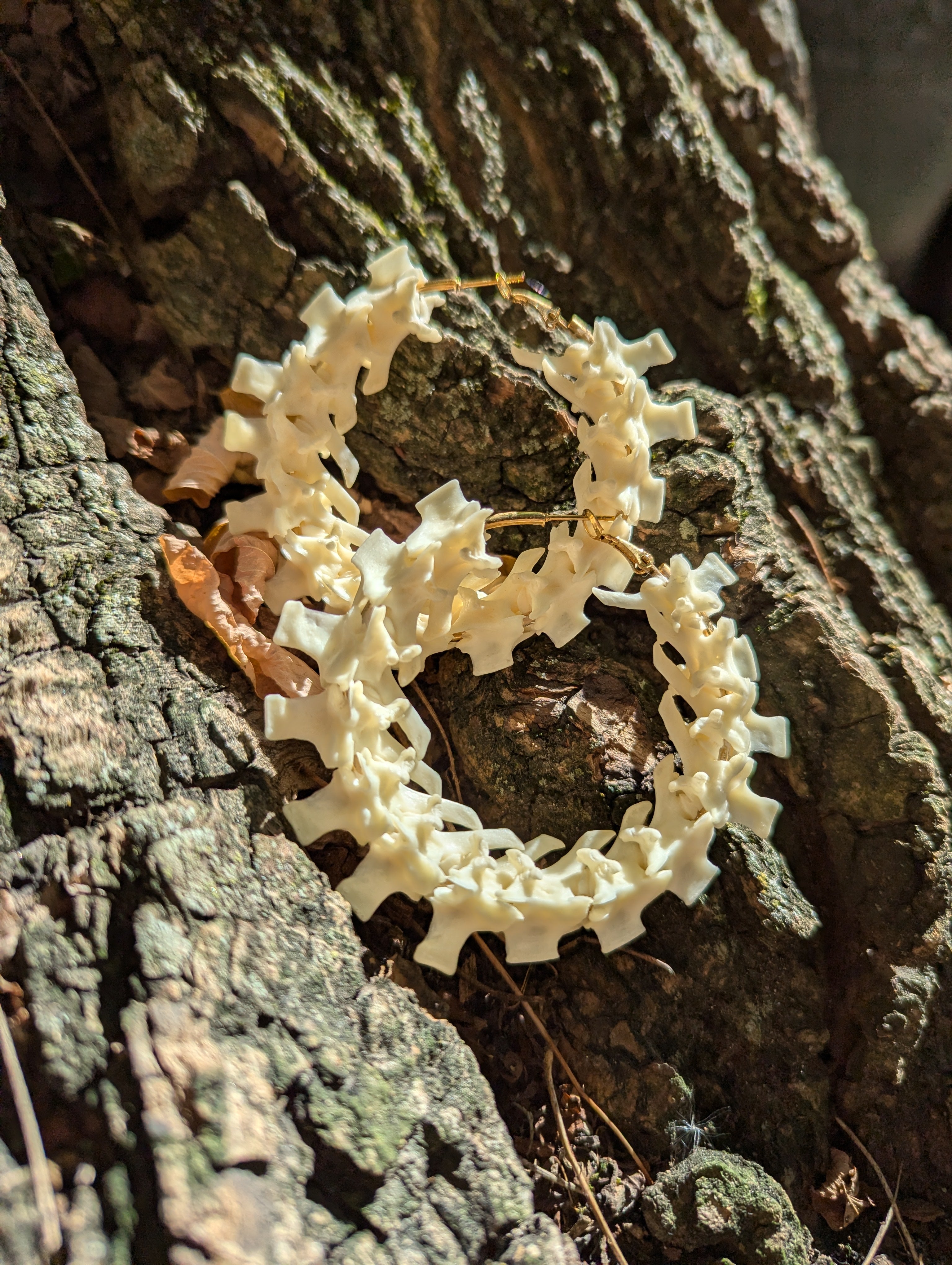 Bushmaster Vertebrae Earrings