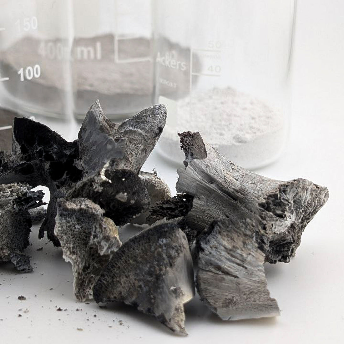 Bone Pigment | Ancient Techniques in a Modern Landscape