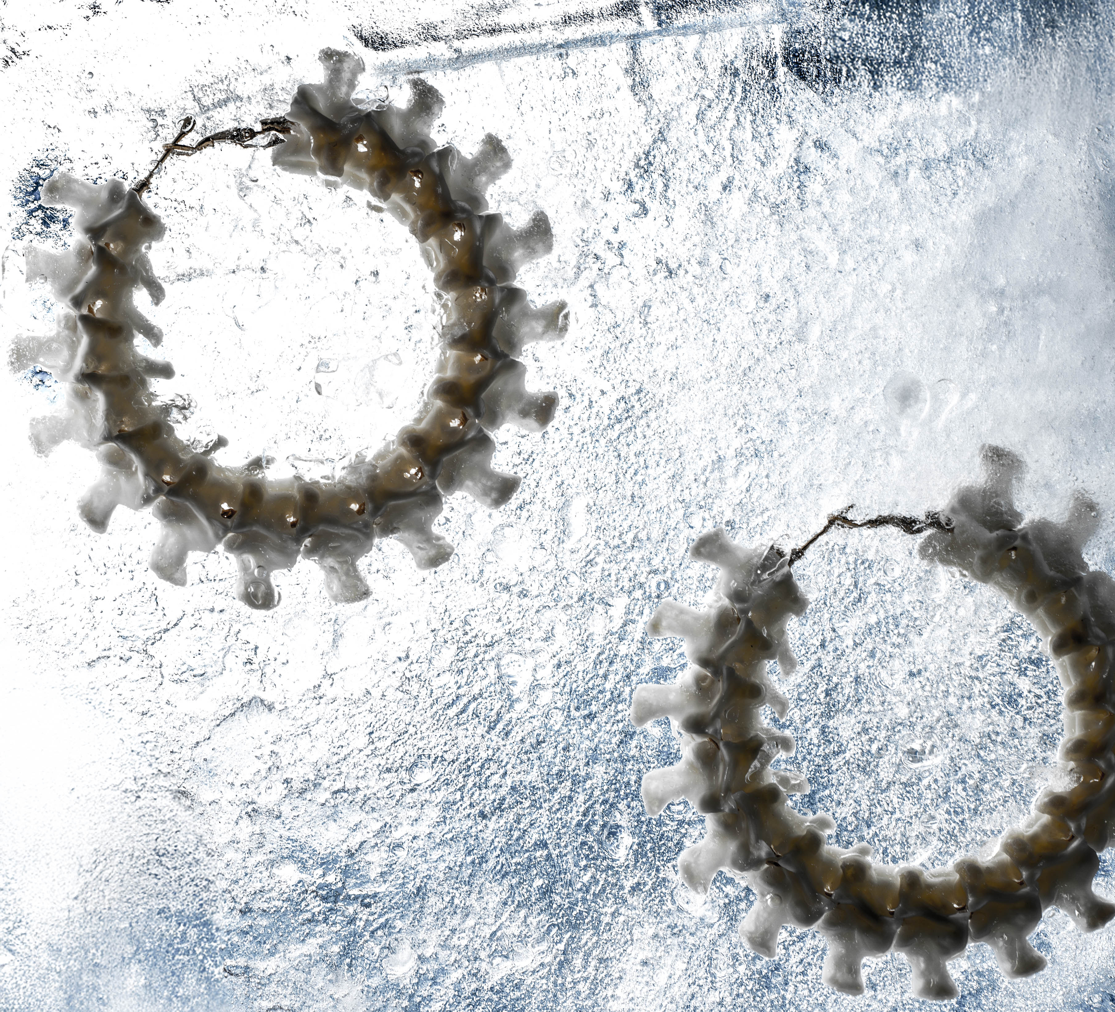 The Lost Adornments Process: Built by Hand, Buried in Intention