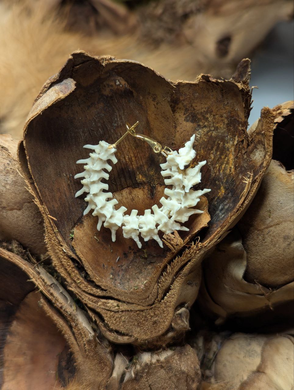 bone jewelry, snake vertebrae bone earrings, snake earrings, snake bone earring, snake bone earrings, snake vertebrae, snake vertebrae earring, bone art