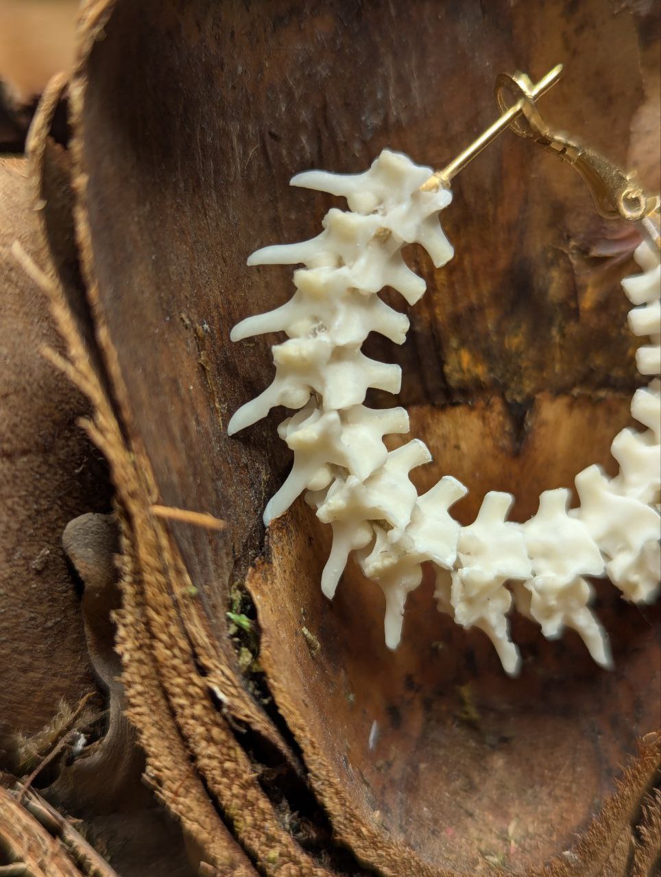 bone jewelry, snake vertebrae bone earrings, snake earrings, snake bone earring, snake bone earrings, snake vertebrae, snake vertebrae earring, bone art