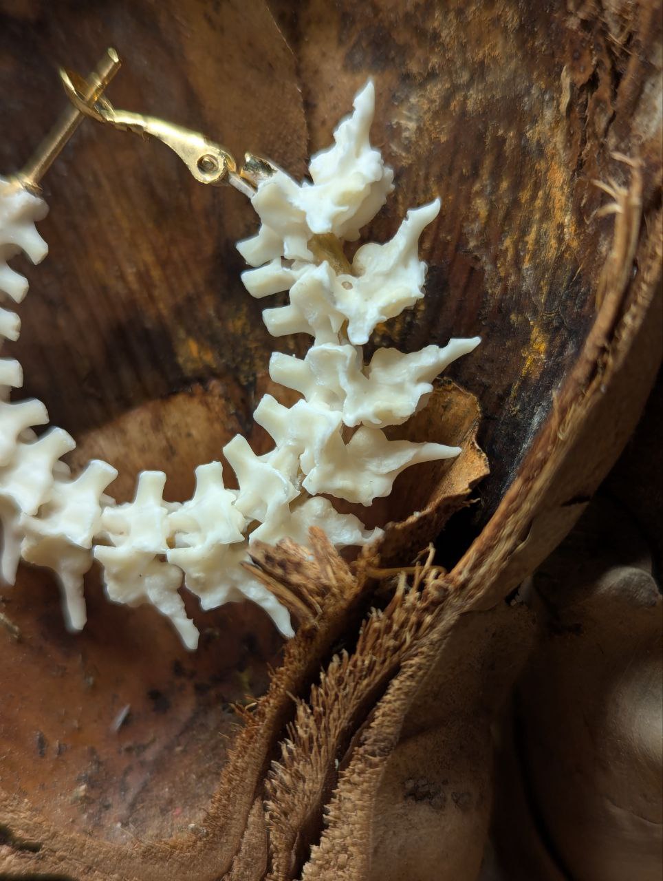 bone jewelry, snake vertebrae bone earrings, snake earrings, snake bone earring, snake bone earrings, snake vertebrae, snake vertebrae earring, bone art