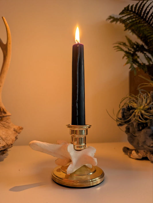 Bone Candle Stick I