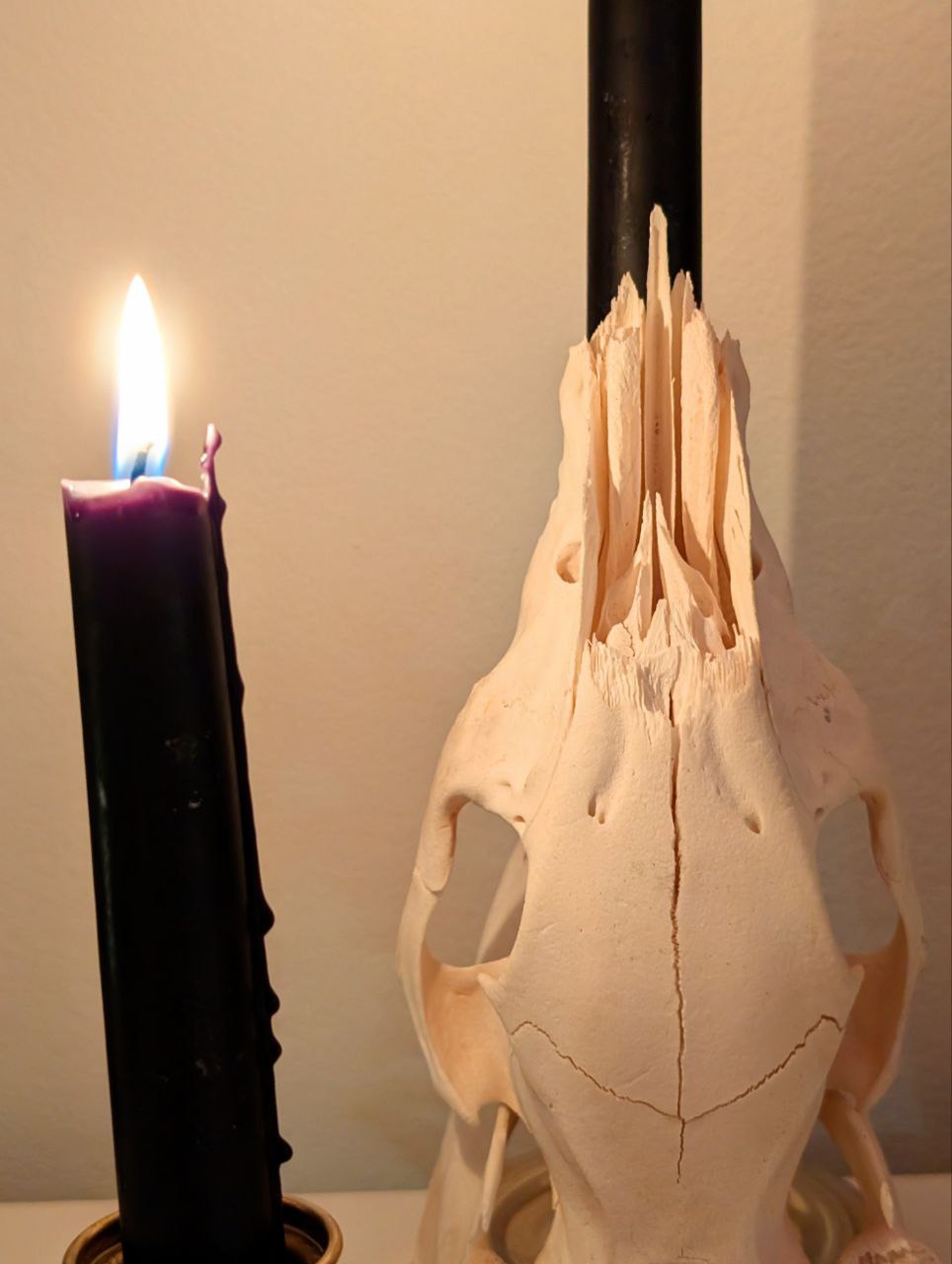 Bone Candlestick II