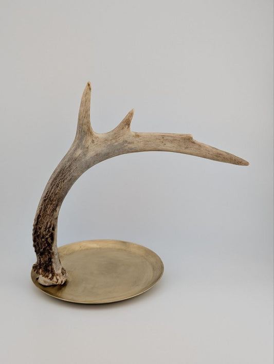 Antler & Brass Catch-All Dish