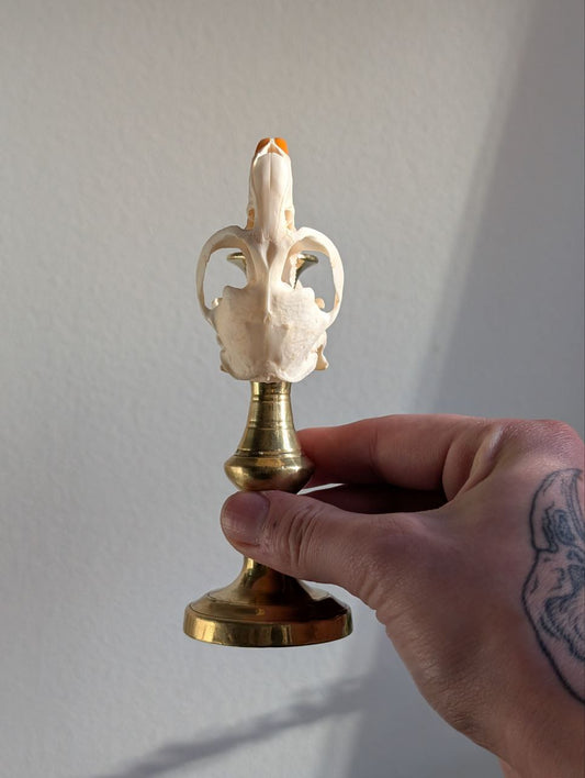 Bone Candlestick III