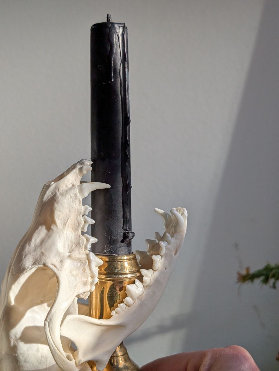 Bone Candlestick V