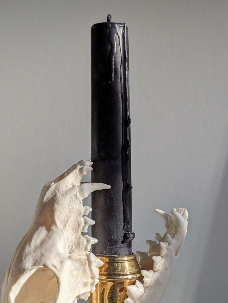 Bone Candlestick V