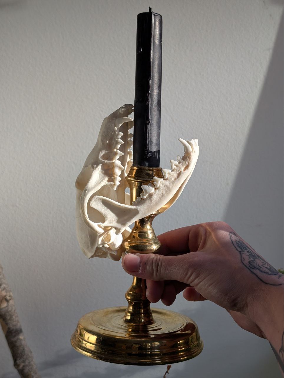 Bone Candlestick V