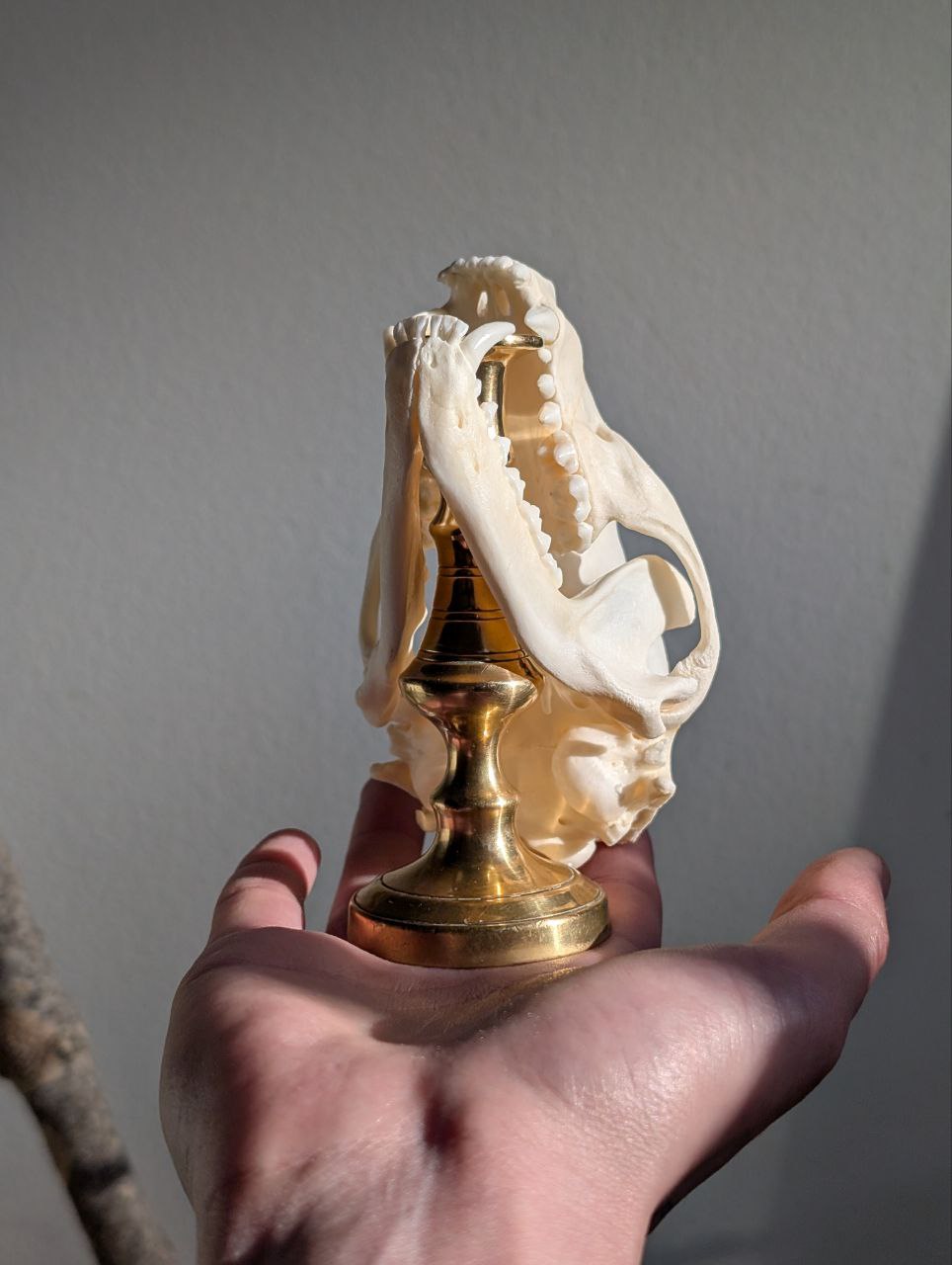 Bone Candlestick IV