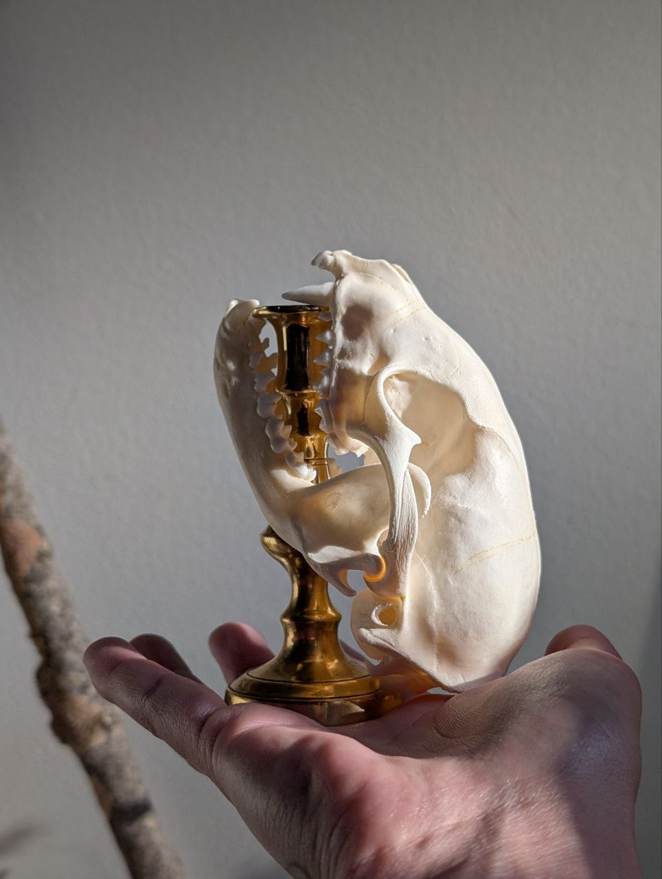 Bone Candlestick IV