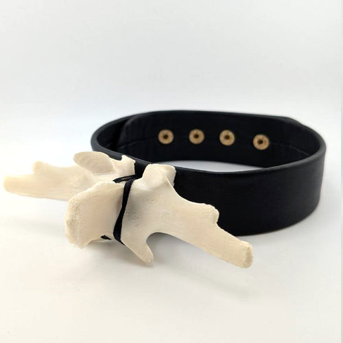 Alligator Vertebrae Cuff