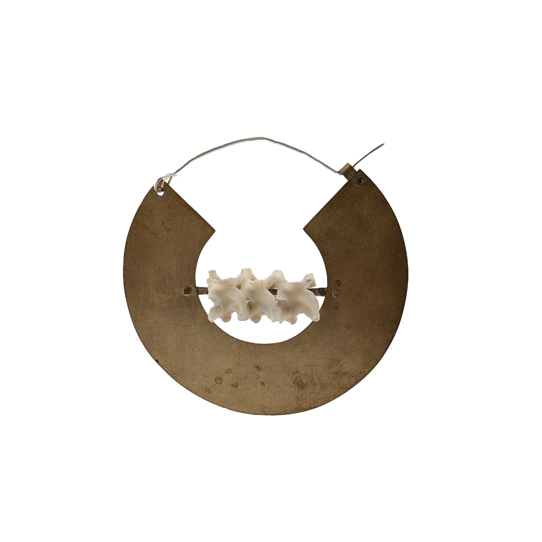 Eclipse Vertebrae Earrings