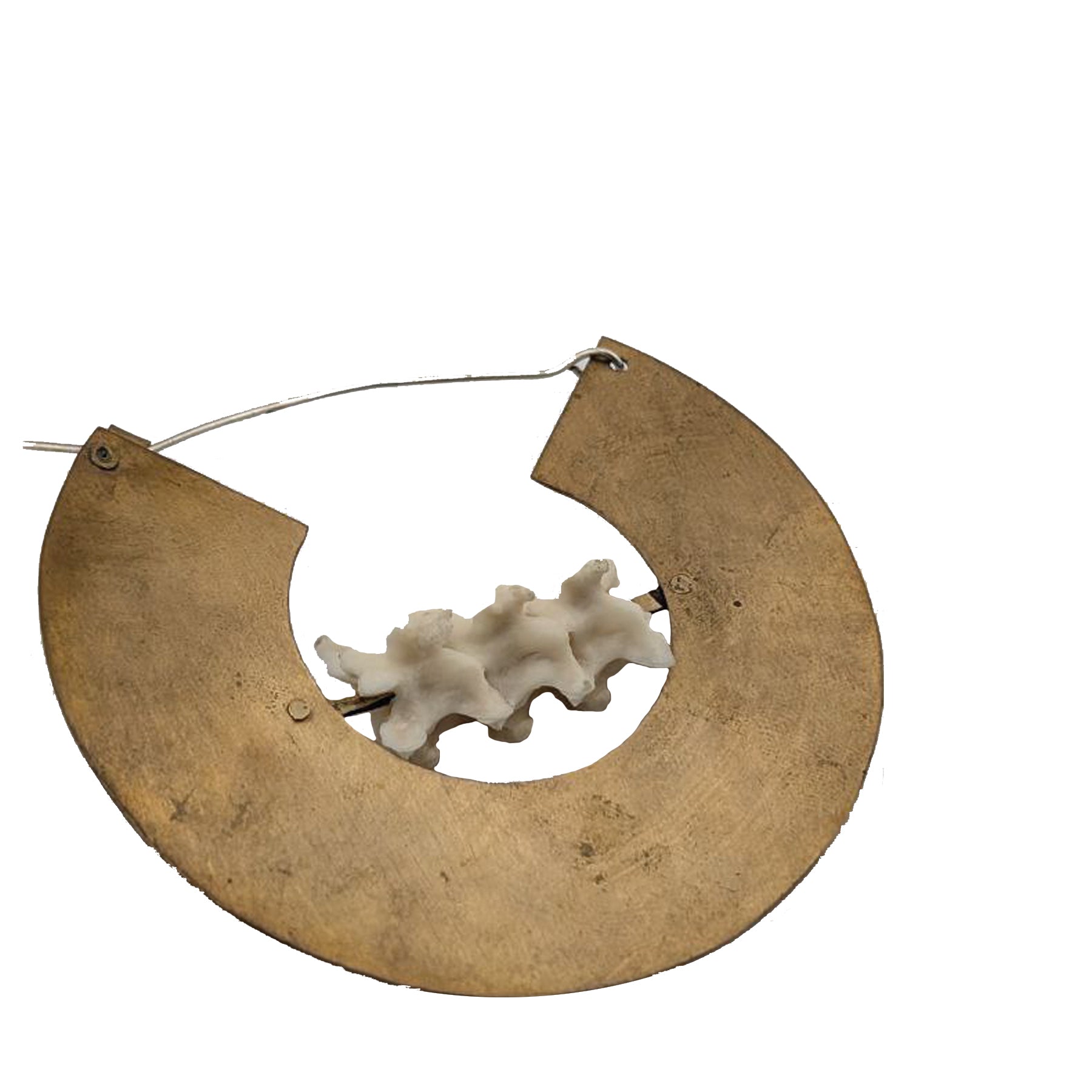 Eclipse Vertebrae Earrings
