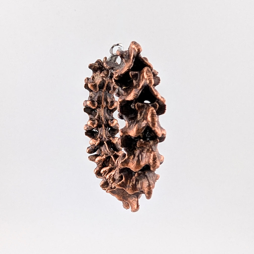 Exo Hoops in Copper | Pre-Order
