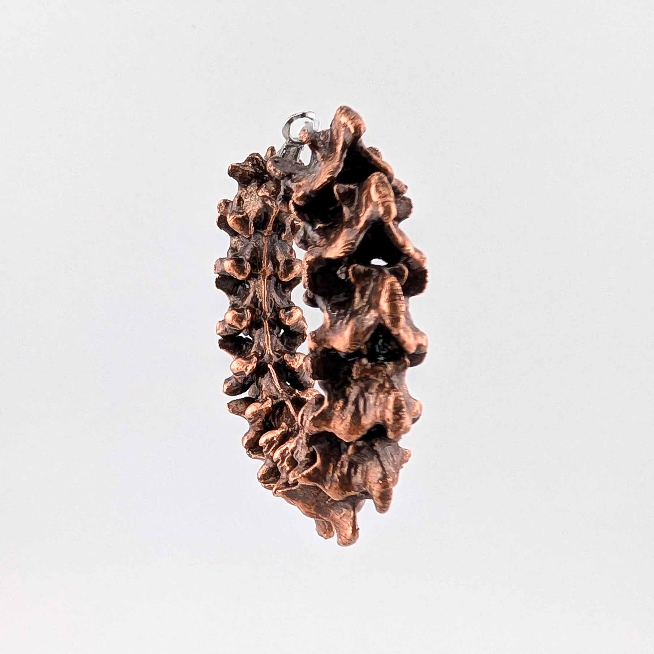 Exo Hoops in Copper | Pre-Order