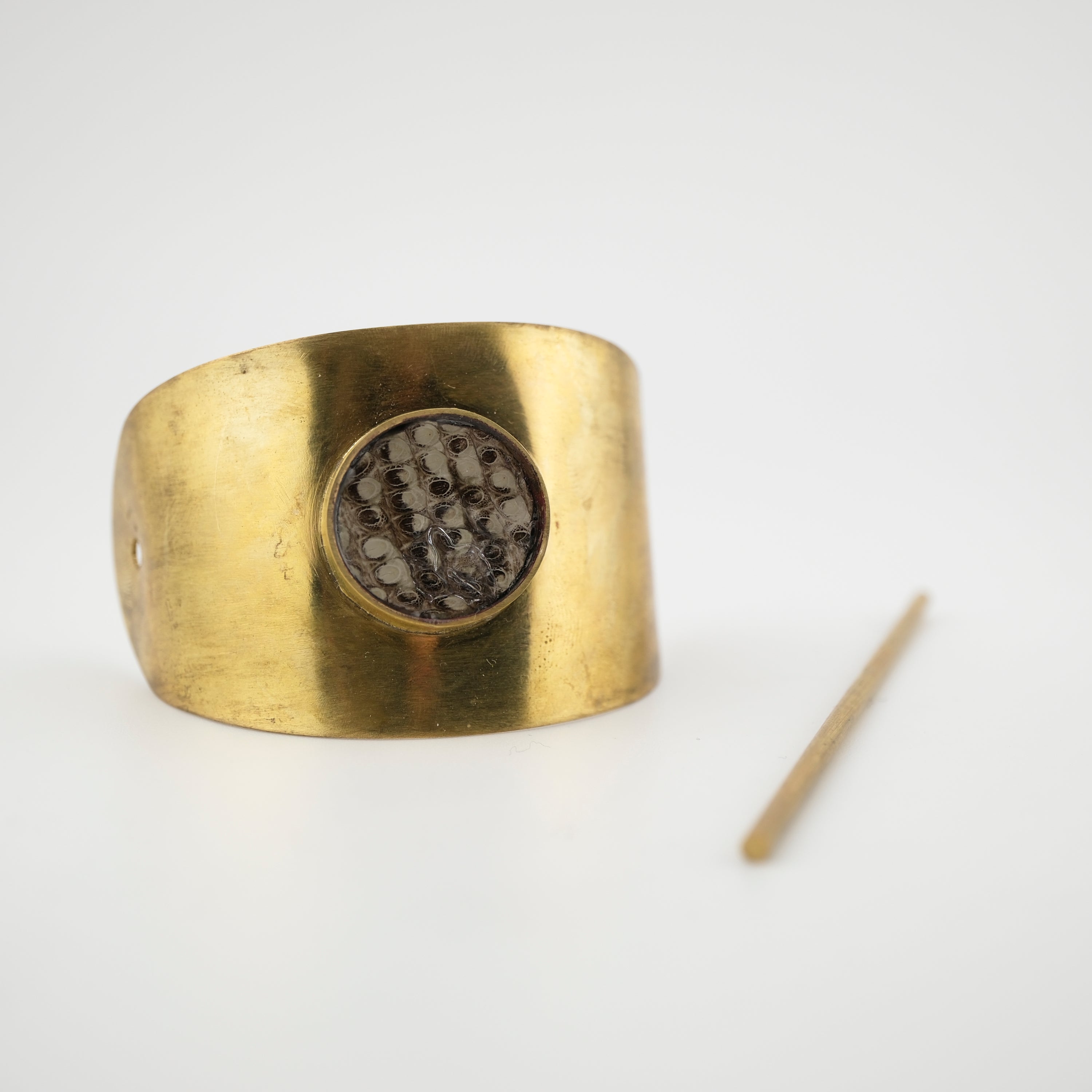 Brass & Lizard Hair Piece