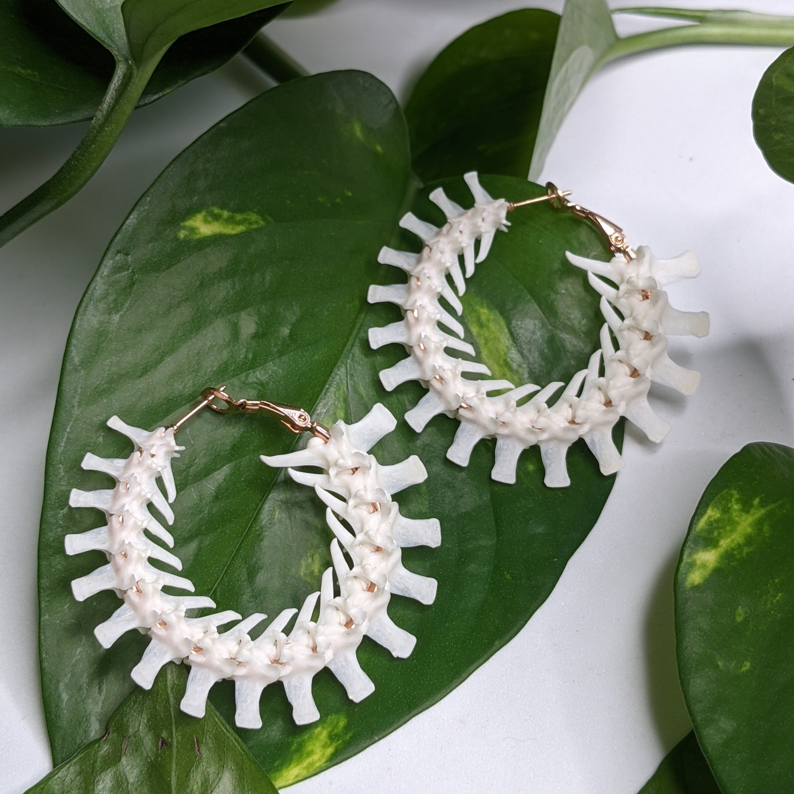 bone jewelry, snake vertebrae bone earrings, snake earrings, snake bone earring, snake bone earrings, snake vertebrae, snake vertebrae earrings