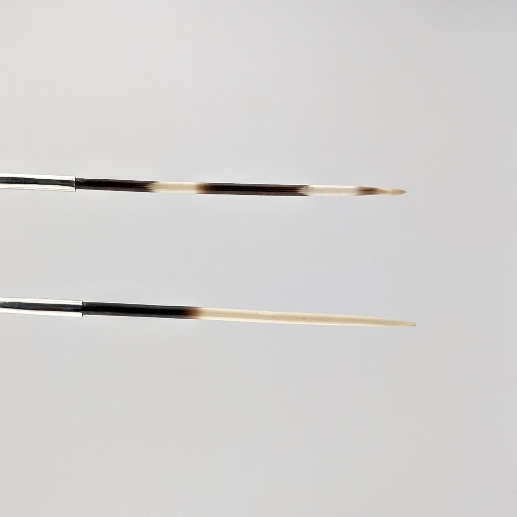 Two brown and white porcupine quill earrings on a light gray background