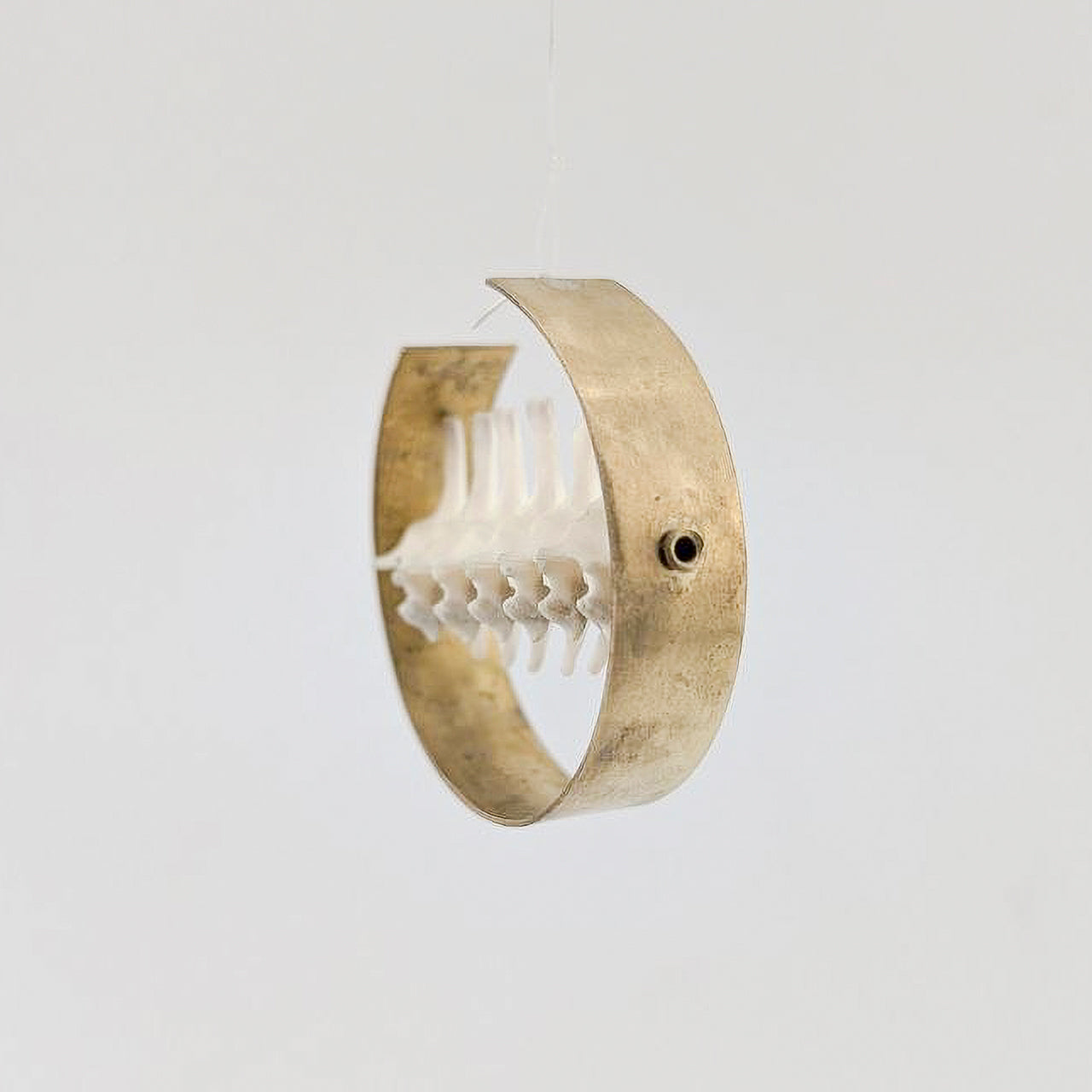 Sliver Hoops II