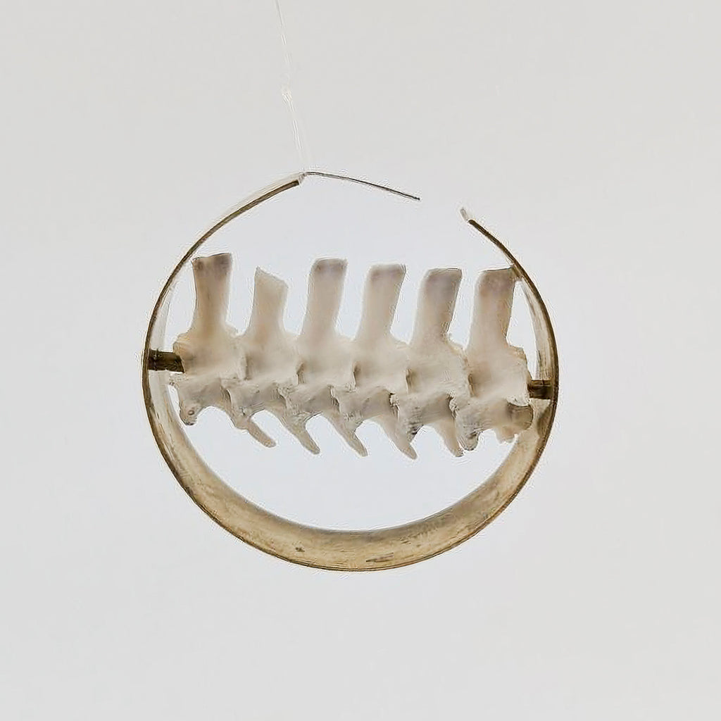 Sliver Hoops II