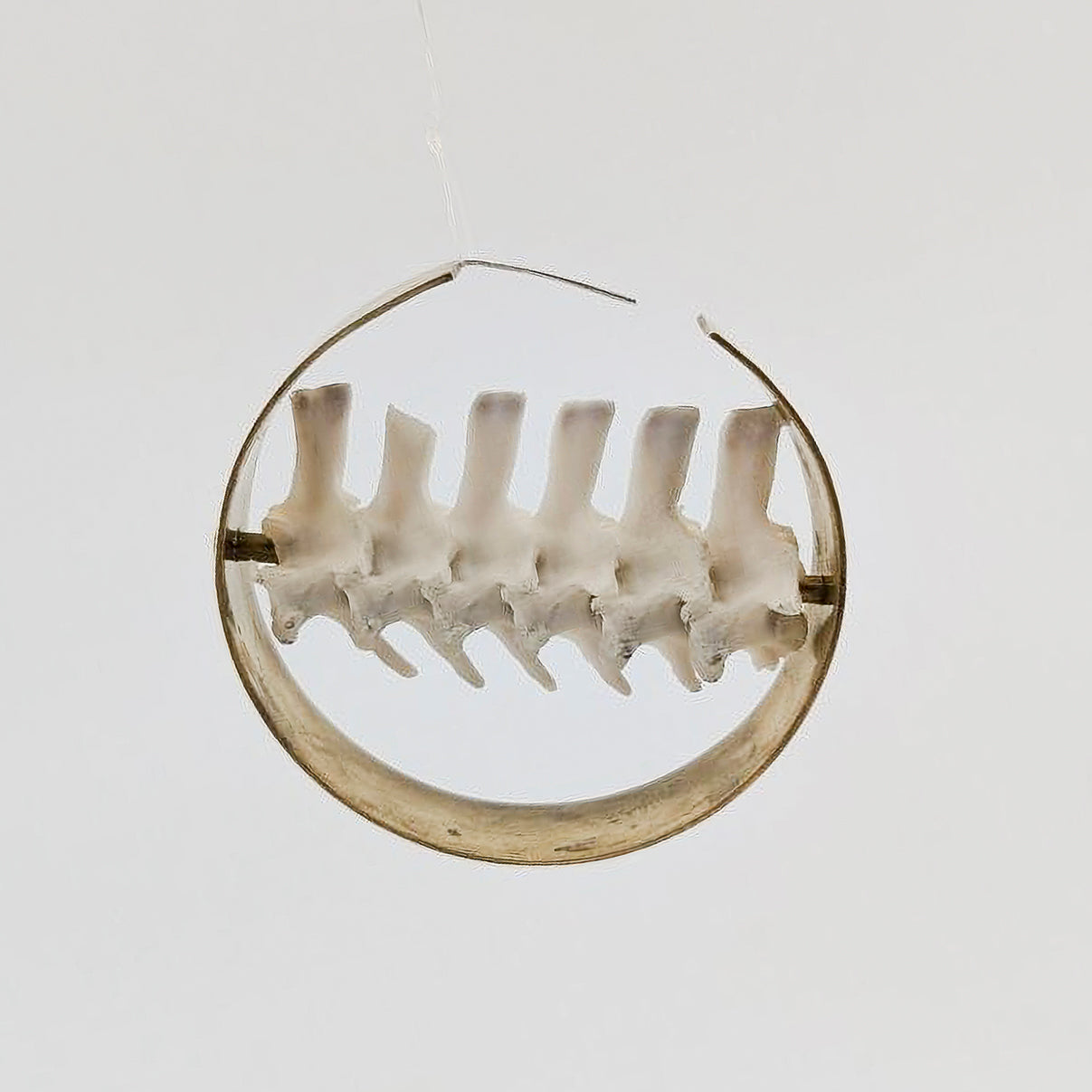 Sliver Hoops II