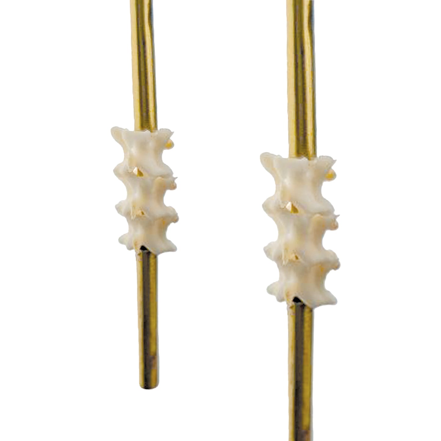 Snake Vertebrae Pendants