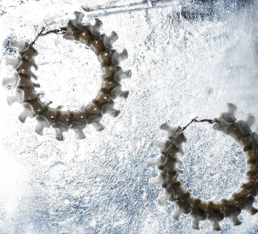 Snake Vertebrae Hoops