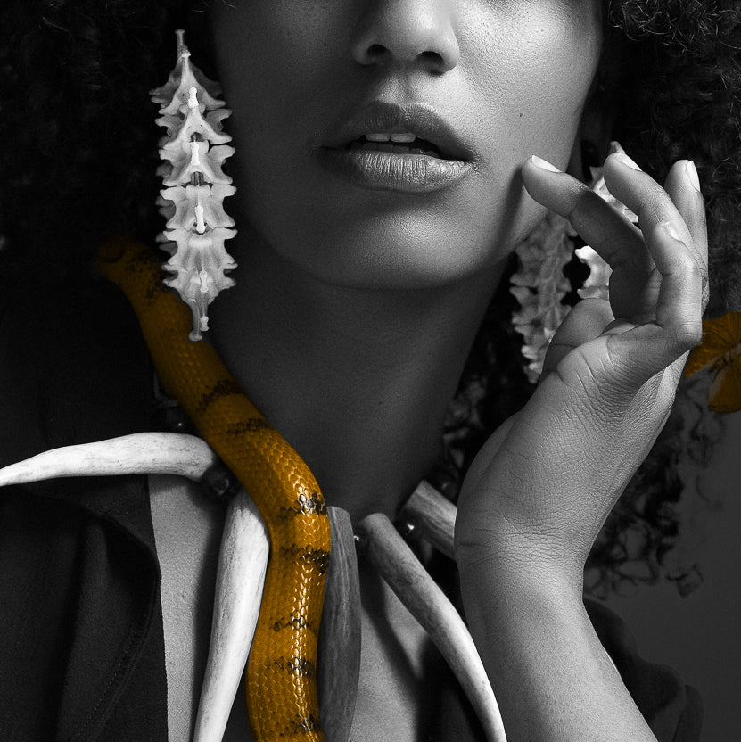 Snake Vertebrae Earrings
